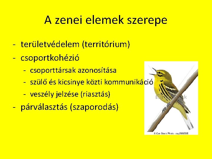 A zenei elemek szerepe - területvédelem (territórium) - csoportkohézió - csoporttársak azonosítása - szülő