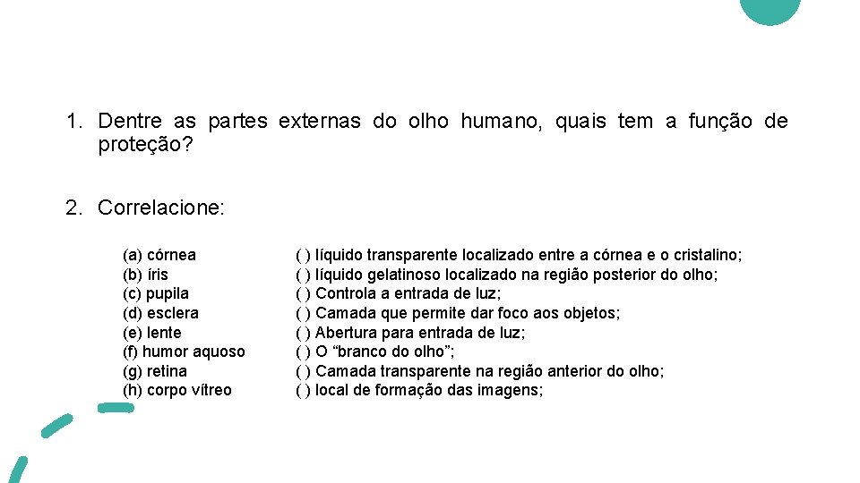 1. Dentre as partes externas do olho humano, quais tem a função de proteção?