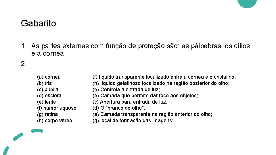 Gabarito 1. As partes externas com função de proteção são: as pálpebras, os cílios