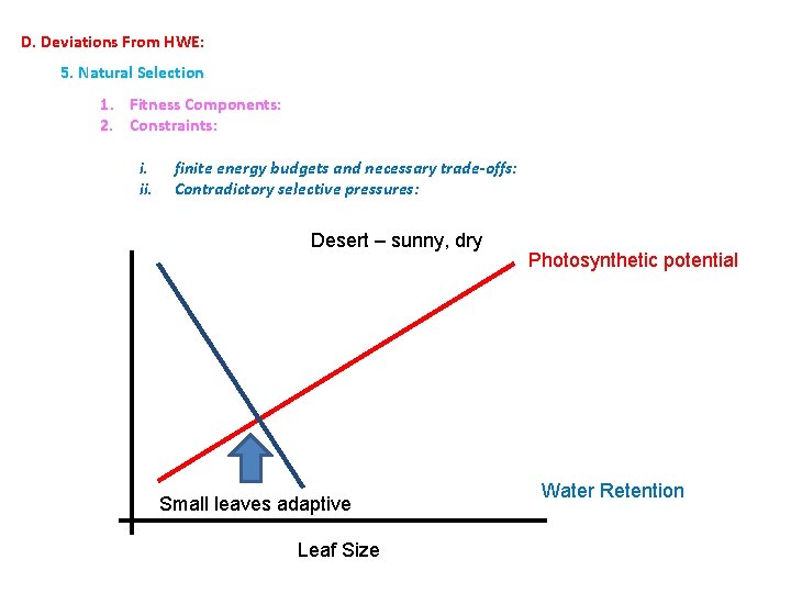 D. Deviations From HWE: 5. Natural Selection 1. Fitness Components: 2. Constraints: i. ii.