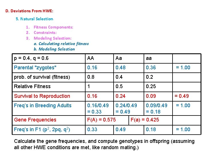 D. Deviations From HWE: 5. Natural Selection 1. Fitness Components: 2. Constraints: 3. Modeling