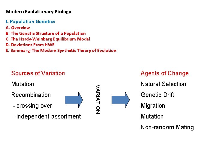 Modern Evolutionary Biology I. Population Genetics A. Overview B. The Genetic Structure of a