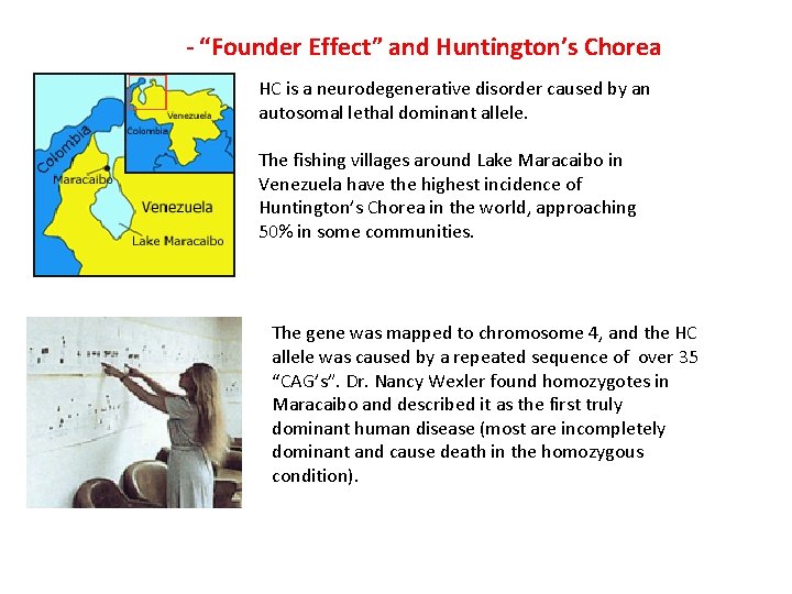 - “Founder Effect” and Huntington’s Chorea HC is a neurodegenerative disorder caused by an