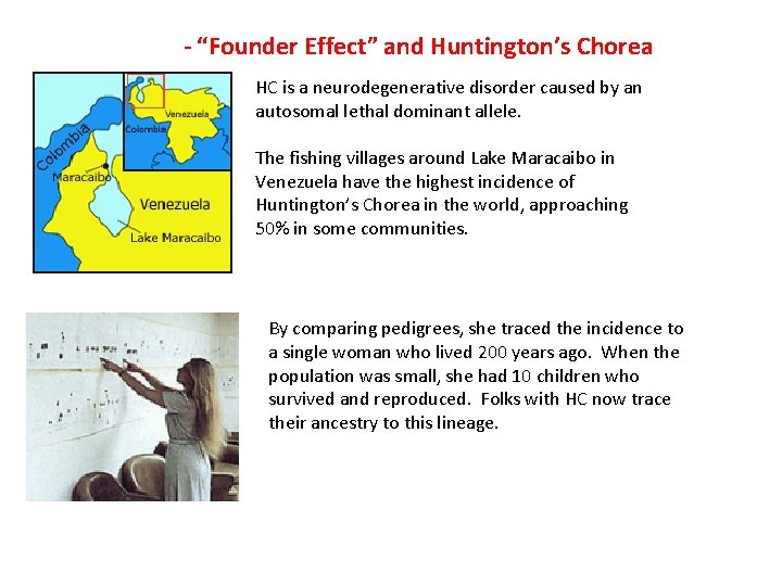 - “Founder Effect” and Huntington’s Chorea HC is a neurodegenerative disorder caused by an