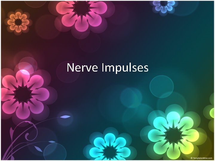 Nerve Impulses 