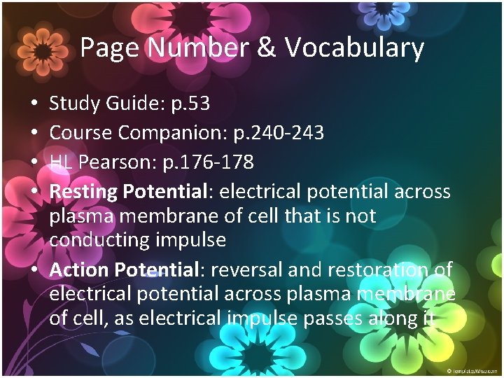 Page Number & Vocabulary Study Guide: p. 53 Course Companion: p. 240 -243 HL