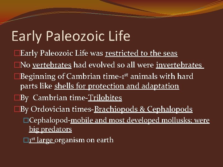 Early Paleozoic Life �Early Paleozoic Life was restricted to the seas �No vertebrates had