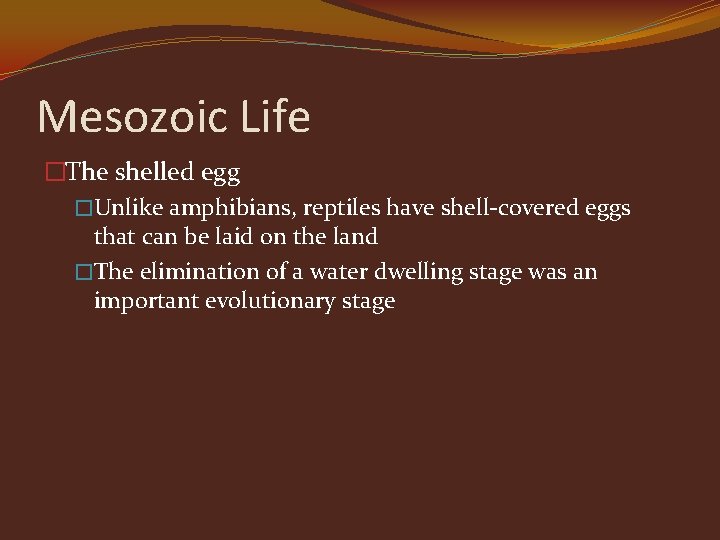 Mesozoic Life �The shelled egg �Unlike amphibians, reptiles have shell-covered eggs that can be