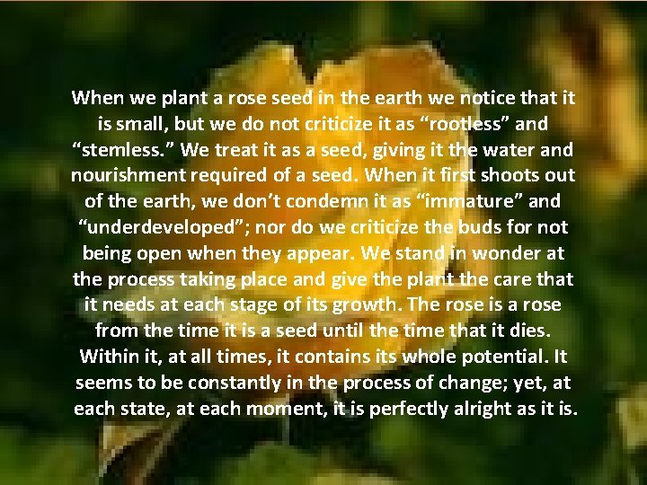 When we plant a rose seed in the earth we notice that it is