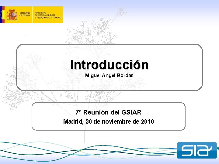 Introducción Miguel Ángel Bordas 7ª Reunión del GSIAR Madrid, 30 de noviembre de 2010
