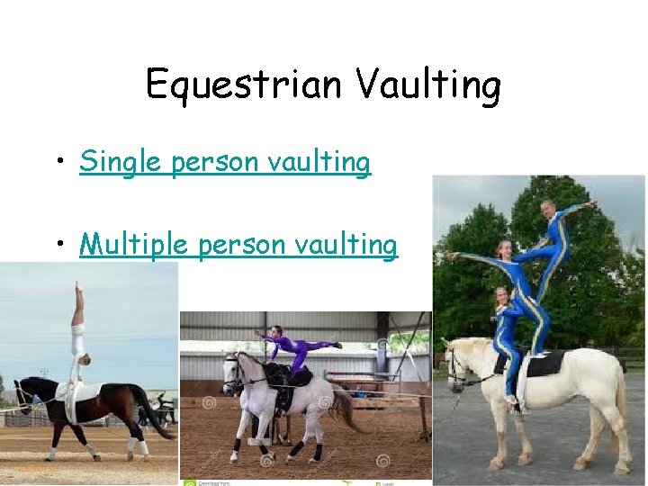 Equestrian Vaulting • Single person vaulting • Multiple person vaulting 