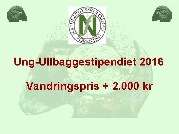 Ung-Ullbaggestipendiet 2016 Vandringspris + 2. 000 kr 