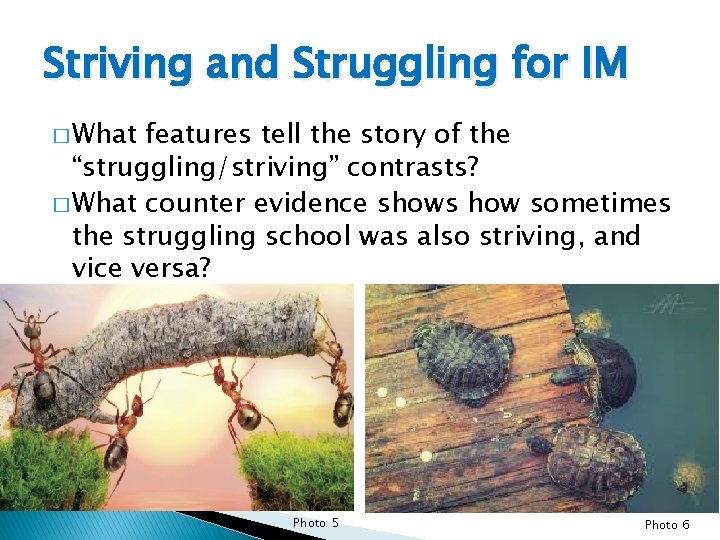 Striving and Struggling for IM � What features tell the story of the “struggling/striving”