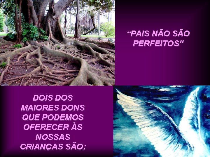 “PAIS NÃO SÃO PERFEITOS” DOIS DOS MAIORES DONS QUE PODEMOS OFERECER ÀS NOSSAS CRIANÇAS