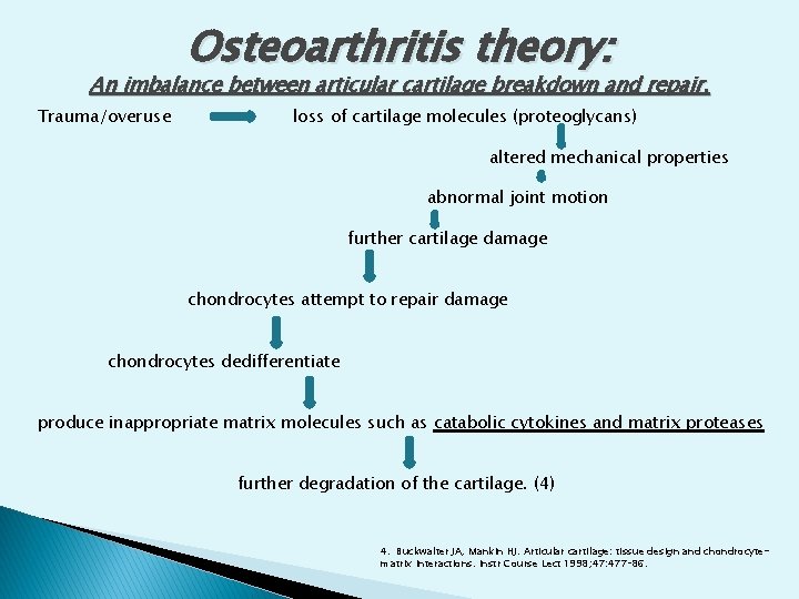 Osteoarthritis theory: An imbalance between articular cartilage breakdown and repair. Trauma/overuse loss of cartilage