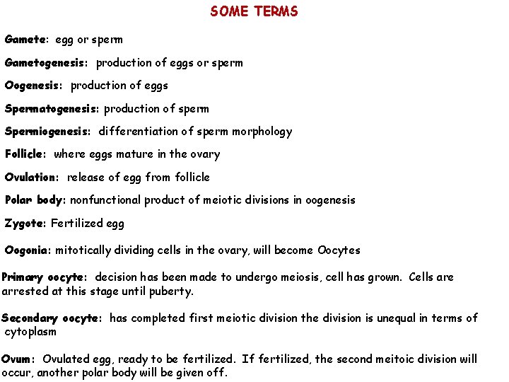 SOME TERMS Gamete: egg or sperm Gametogenesis: production of eggs or sperm Oogenesis: production