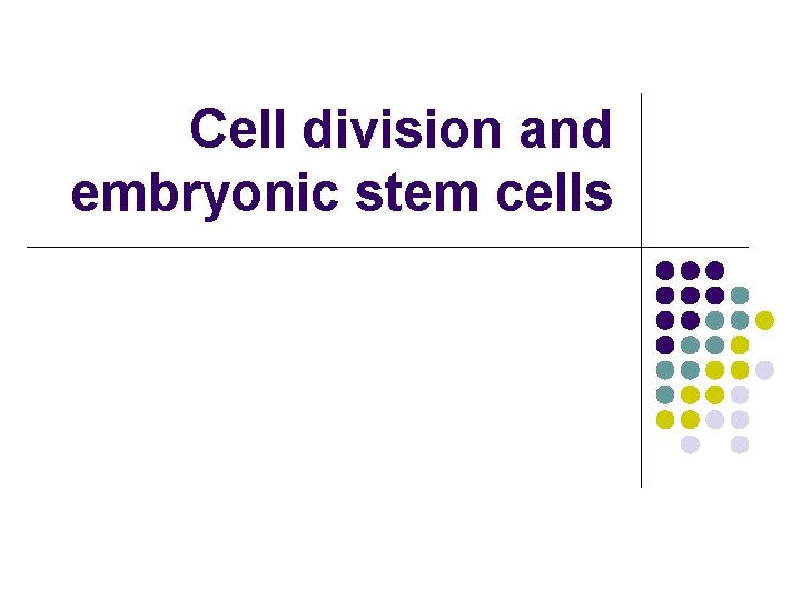 Cell division and embryonic stem cells 