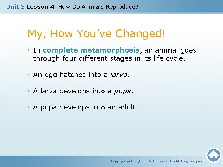 Unit 3 Lesson 4 How Do Animals Reproduce? My, How You’ve Changed! • In
