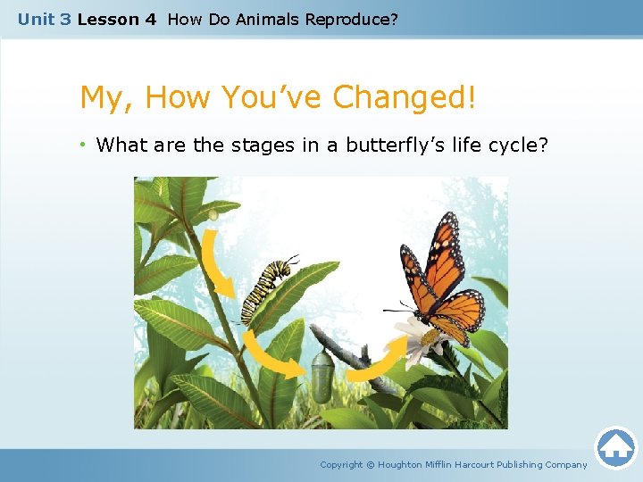 Unit 3 Lesson 4 How Do Animals Reproduce? My, How You’ve Changed! • What