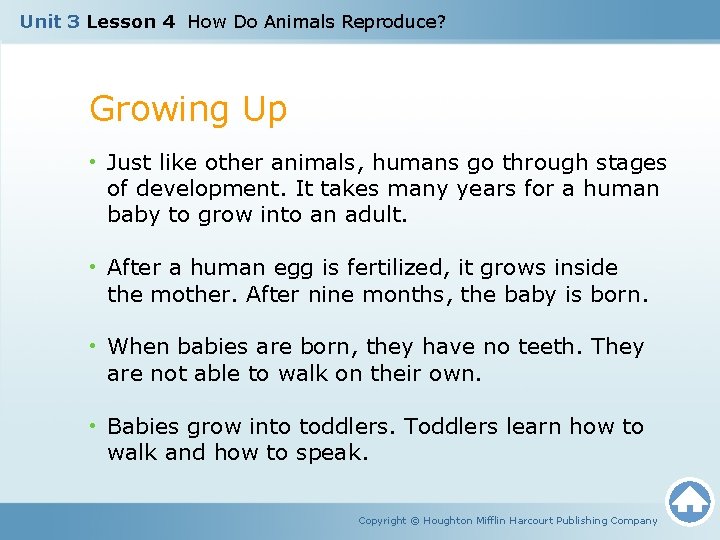 Unit 3 Lesson 4 How Do Animals Reproduce? Growing Up • Just like other