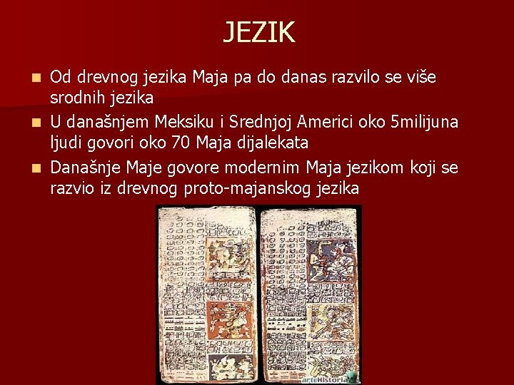 JEZIK Od drevnog jezika Maja pa do danas razvilo se više srodnih jezika n