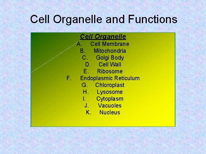 Cell Organelle and Functions Cell Organelle A. Cell Membrane B. Mitochondria C. Golgi Body