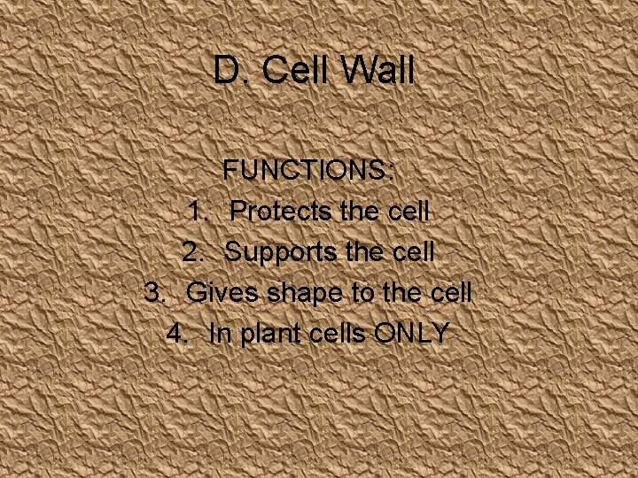 D. Cell Wall FUNCTIONS: 1. Protects the cell 2. Supports the cell 3. Gives