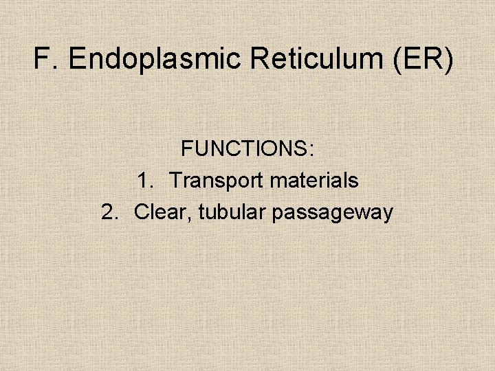 F. Endoplasmic Reticulum (ER) FUNCTIONS: 1. Transport materials 2. Clear, tubular passageway 