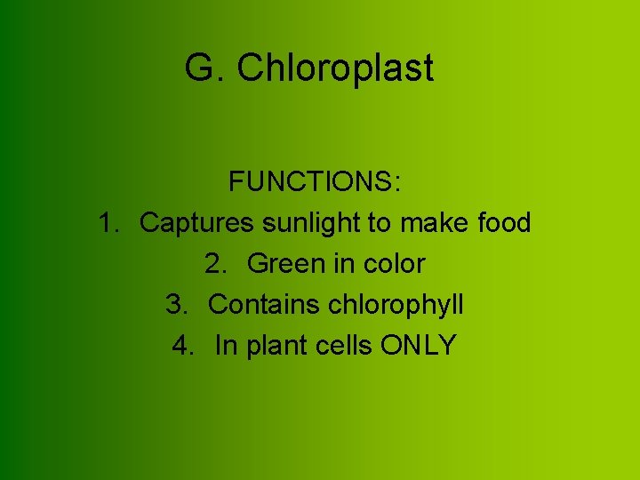 G. Chloroplast FUNCTIONS: 1. Captures sunlight to make food 2. Green in color 3.