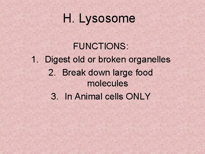 H. Lysosome FUNCTIONS: 1. Digest old or broken organelles 2. Break down large food