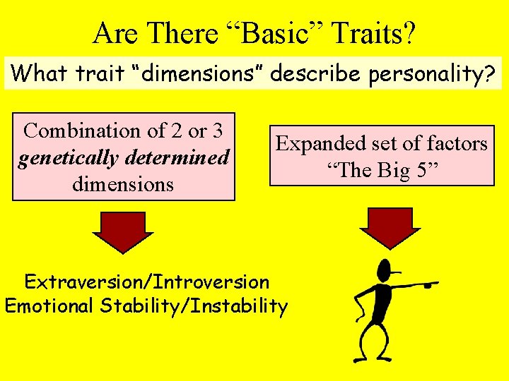 Are There “Basic” Traits? What trait “dimensions” describe personality? Combination of 2 or 3