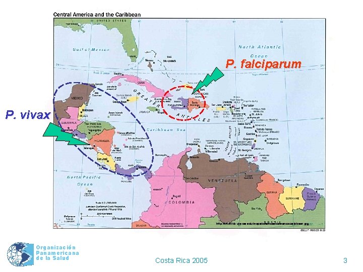 P. falciparum P. vivax http: //www. lib. utexas. edu/maps/americas/camericacaribbean. jpg Organización Panamericana de la
