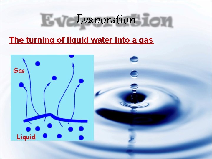 Evaporation The turning of liquid water into a gas 