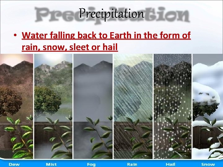 Precipitation • Water falling back to Earth in the form of rain, snow, sleet