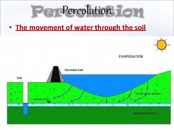 Percolation • The movement of water through the soil 