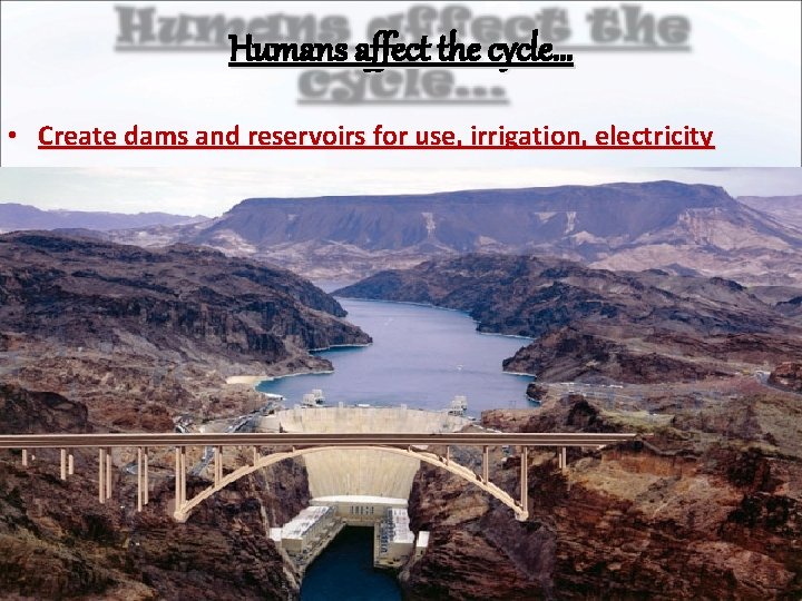 Humans affect the cycle… • Create dams and reservoirs for use, irrigation, electricity 