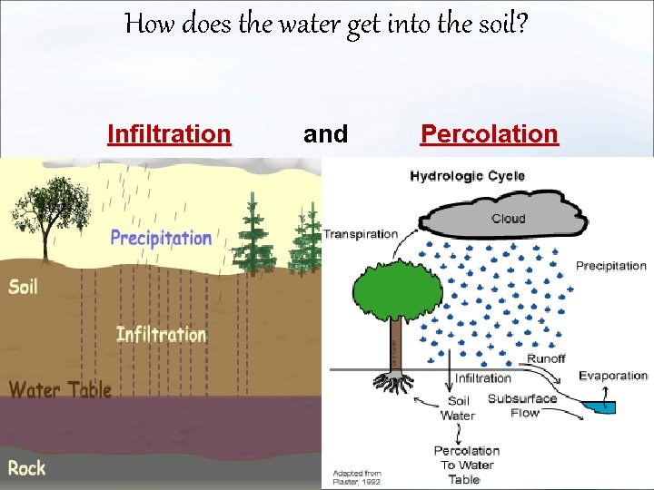 How does the water get into the soil? Infiltration and Percolation 