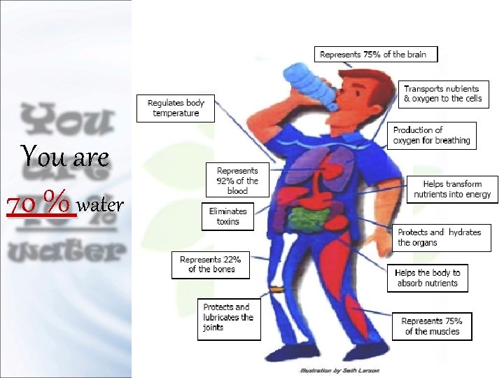 You are 70 % water 