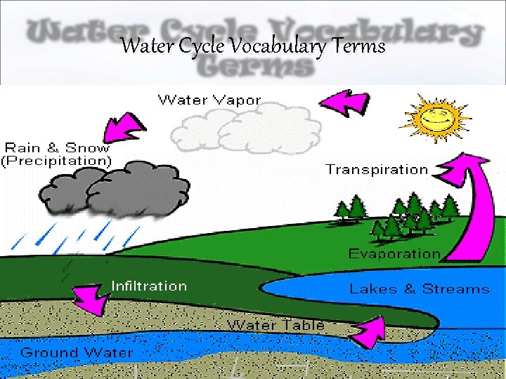 Water Cycle Vocabulary Terms 