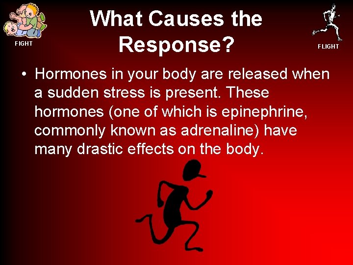 FIGHT What Causes the Response? FLIGHT • Hormones in your body are released when
