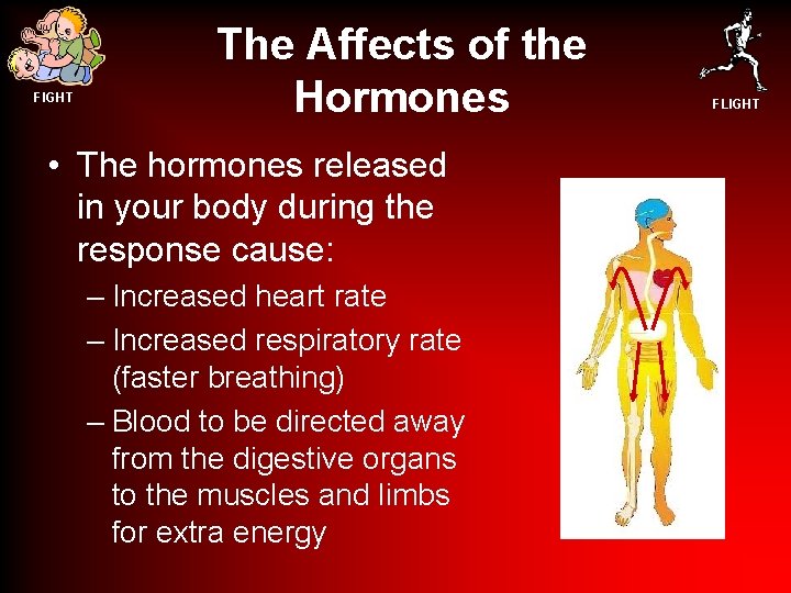 FIGHT The Affects of the Hormones • The hormones released in your body during