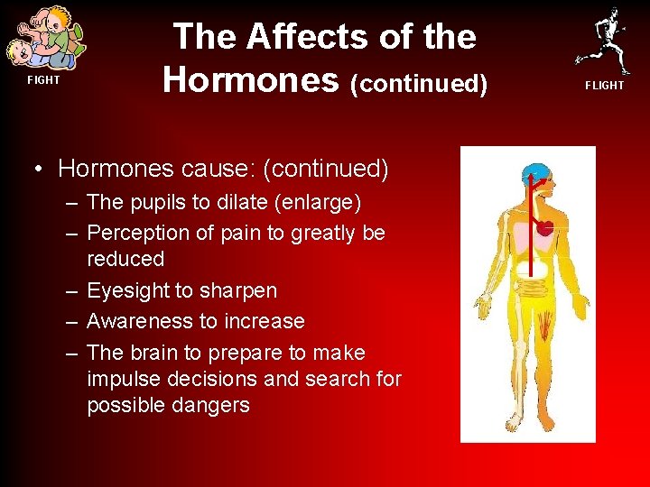 FIGHT The Affects of the Hormones (continued) • Hormones cause: (continued) – The pupils