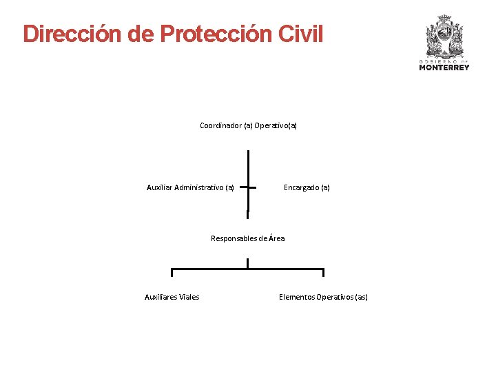 Dirección de Protección Civil Coordinador (a) Operativo(a) Auxiliar Administrativo (a) Encargado (a) Responsables de
