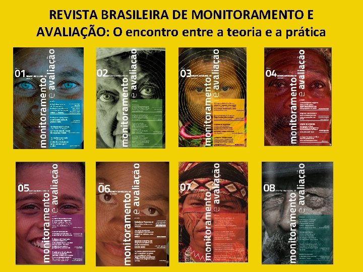 REVISTA BRASILEIRA DE MONITORAMENTO E AVALIAÇÃO: O encontro entre a teoria e a prática