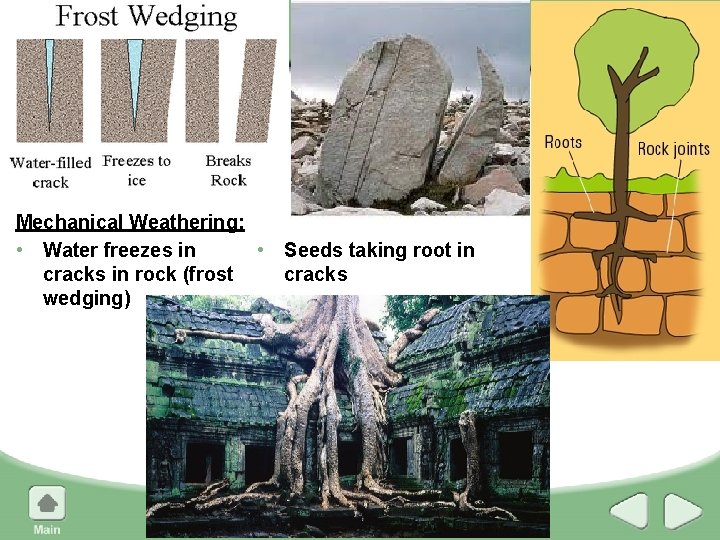 Chapter 1 , Section Mechanical Weathering: • Water freezes in • Seeds taking root