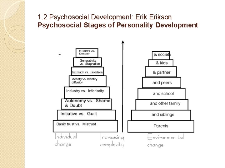 1. 2 Psychosocial Development: Erikson Psychosocial Stages of Personality Development 