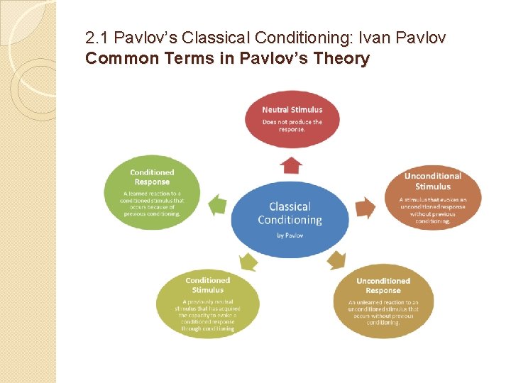 2. 1 Pavlov’s Classical Conditioning: Ivan Pavlov Common Terms in Pavlov’s Theory 