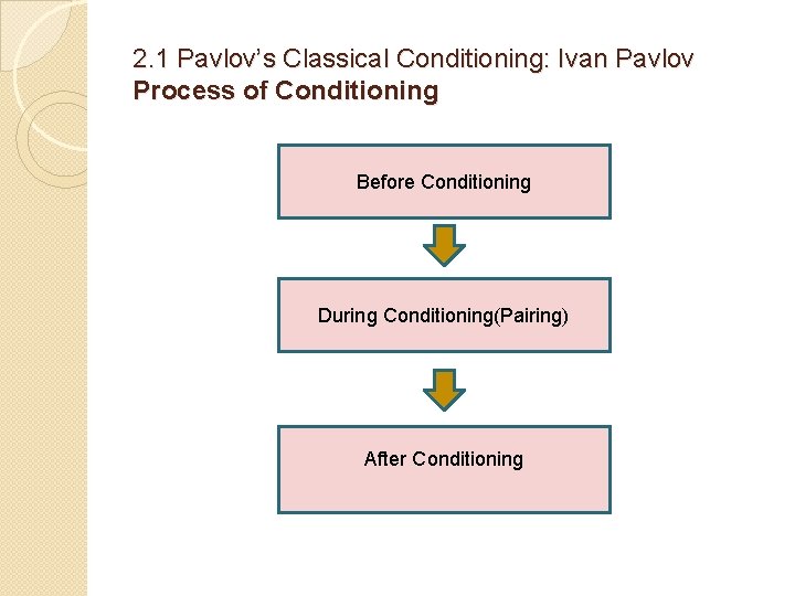 2. 1 Pavlov’s Classical Conditioning: Ivan Pavlov Process of Conditioning Before Conditioning During Conditioning(Pairing)
