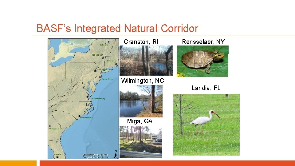 BASF’s Integrated Natural Corridor Cranston, RI Rensselaer, NY Wilmington, NC Landia, FL Miga, GA