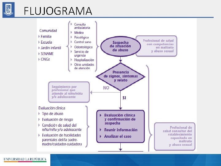 FLUJOGRAMA 